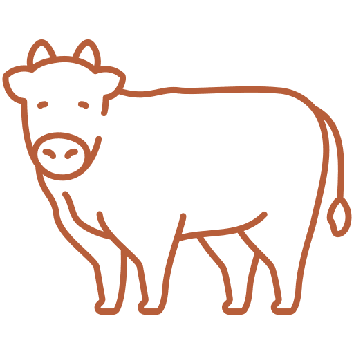 cow (3)